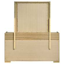 Load image into Gallery viewer, Hyland Dresser with Mirror