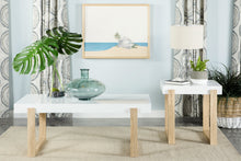 Load image into Gallery viewer, Pala Coffee Table Sets