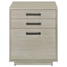 Load image into Gallery viewer, Loomis File Cabinet
