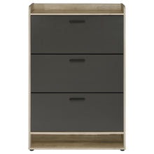 Load image into Gallery viewer, Denia Shoe Cabinet