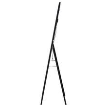 Load image into Gallery viewer, Windrose Standing Mirror with LED Lighting
