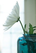 Load image into Gallery viewer, Inisland Vase