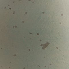 Load image into Gallery viewer, Baychester Vase