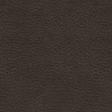 Load image into Gallery viewer, Femley Recliner