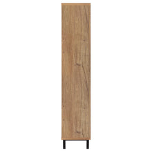 Load image into Gallery viewer, Teller Shoe Cabinet