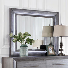 Load image into Gallery viewer, RAIDEN Mirror w/ LED, Gray