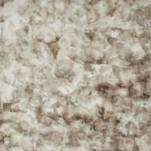 Load image into Gallery viewer, Famalica Area Rug