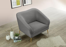 Load image into Gallery viewer, Hermosa Grey Velvet Chair