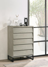 Load image into Gallery viewer, Weston Grey Stone Chest
