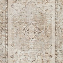 Load image into Gallery viewer, Livdon Washable Rug