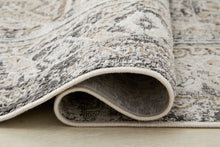 Load image into Gallery viewer, Junley Rug