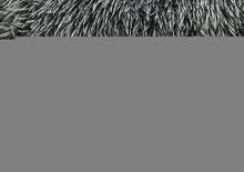 Load image into Gallery viewer, Darwen Sofa
