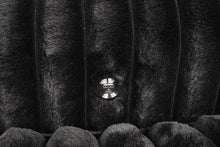 Load image into Gallery viewer, Tavedestrand Double Chaise Sofa