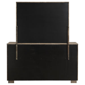 Durango Dresser With Mirror