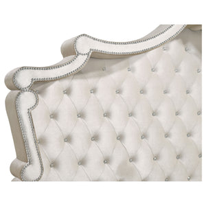 Antonella Bedroom Sets