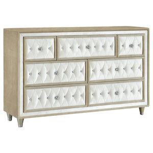 Antonella Dresser image