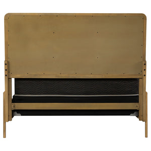 Arini Upholstered Panel Bed