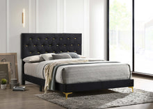 Load image into Gallery viewer, Kendall Tufted Panel Bed Black and Gold
