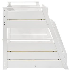 Holden Bunk Beds
