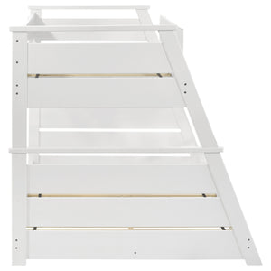 Holden Bunk Beds
