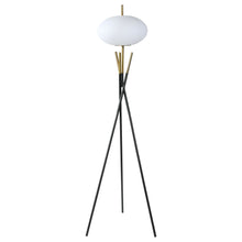 Load image into Gallery viewer, Layton Floor Lamps
