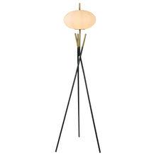 Load image into Gallery viewer, Layton Floor Lamps
