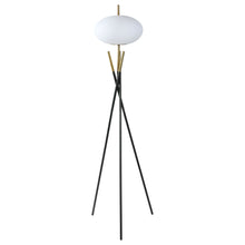 Load image into Gallery viewer, Layton Floor Lamps
