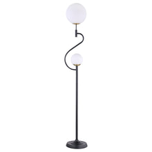 Load image into Gallery viewer, Dacki Floor Lamp image
