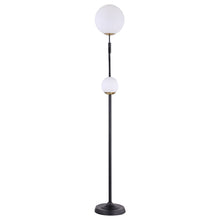 Load image into Gallery viewer, Dacki Floor Lamp
