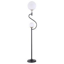 Load image into Gallery viewer, Dacki Floor Lamp
