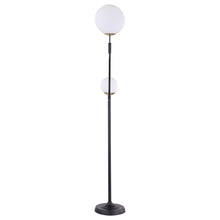 Load image into Gallery viewer, Dacki Floor Lamp
