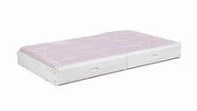 Load image into Gallery viewer, Chapman Storage Trundle White
