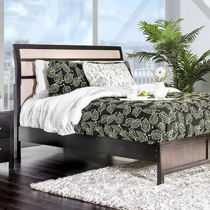 Berenice Bed Purple Brown