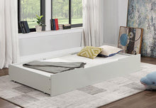 Load image into Gallery viewer, LYCORIDA Trundle/Drawer
