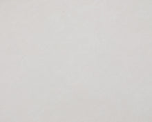 Load image into Gallery viewer, Plush Cream Velvet Standard Cloud Modular Armless Chair
