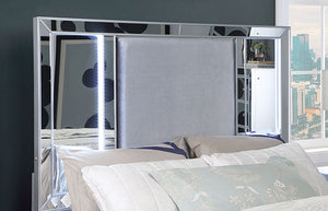 Belladonna Bed