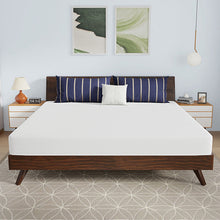 Load image into Gallery viewer, Nasturtium 8&quot; E.King Bamboo Charcoal Infused Memory Foam
