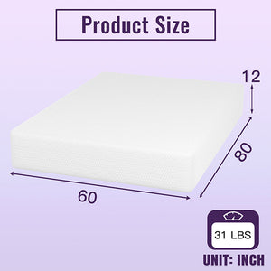 Nasturtium 12" Queen Bamboo Charcoal Infused Memory Foam