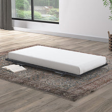 Load image into Gallery viewer, Ivana Universtal Metal Trundle
