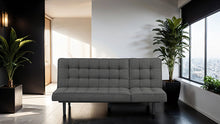 Load image into Gallery viewer, Napervill Futon Sofa
