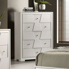 Load image into Gallery viewer, Holsted Chest
