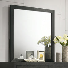 Load image into Gallery viewer, Latimer Mirror
