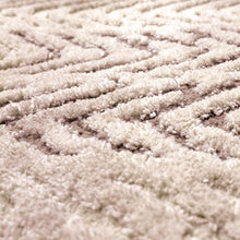 Load image into Gallery viewer, Millsboro Area Rug
